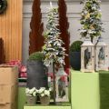 Floristik24 Künstlicher Weihnachtsbaum Beschneit Deko Winter 150cm