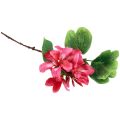 Floristik24 Künstlicher Orchideenzweig Bauhinia Pink Kunstpflanze 62cm