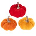 Floristik24 Deko Kürbis Set aus Samt in Rot, Orange und Gelb, 5cm, 12 Stück