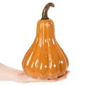 Kürbis aus Keramik 26 cm Orange für Herbstdekoration | Floristik24.at