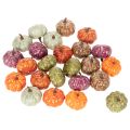 Mini Kürbis Deko Set aus