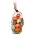 Mini Kürbis Deko Set aus