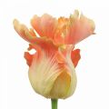 Floristik24 Kunstblume, Papagei Tulpe Orange, Frühlingsblume 63cm