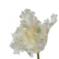 Floristik24 Kunstblume, Papagei Tulpe Weiß Grün, Frühlingsblume 69cm