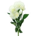 Floristik24 Kunstblumen Deko Dahlien künstlich Weiß 50cm