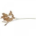 Floristik24 Kunstpflanze Herbstdeko Zweig Blätter weiß gewaschen L70cm
