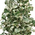 Floristik24 Kunstpflanze, Buchsbaumgirlande Grün Weiß gewaschen L148cm