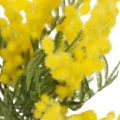 Floristik24 Kunstpflanze, Silber-Akazie, Deko Mimose Gelb, 39cm 3St