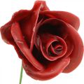 Kunstrosen Bordeaux Wachsrosen Deko Rosen Wachs Ø6cm 18 St | Floristik24.at