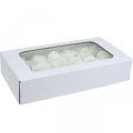 Kunstrosen Creme Wachsrosen Deko Rosen Wachs Ø6cm 18 St | Floristik24.at