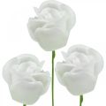 Floristik24 Kunstrosen Creme Wachsrosen Deko Rosen Wachs Ø6cm 18 St