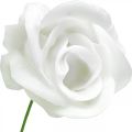 Kunstrosen Creme Wachsrosen Deko Rosen Wachs Ø6cm 18 St | Floristik24.at