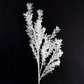 Floristik24 Kunstzweig gefrostet Dekozweig Winterdeko Weiß 78cm 2St