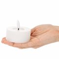 2er-Set LED-Teelichter aus weißem Echtwachs, Ø 7 x 6 cm, warmweiß, mit 6-Stunden-Timer | Floristik24.at