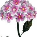 Floristik24 Solar-Blume, LED-Gartendeko, Deko-Chrysantheme Rosa L55cm Ø15cm