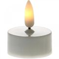 Floristik24 LED-Teelichter Warmweiß, LED-Lichter Flammeneffekt, künstliche Kerzen Ø3,6cm 6er-Set