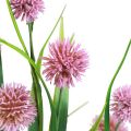 Floristik24 Kunstblumen Kugelblume Allium Zierlauch künstlich Rosa 45cm