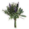 Floristik24 Lavendel-Rosmarin Bund 20cm