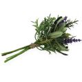 Floristik24 Lavendel-Rosmarin Bund 20cm