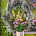 Floristik24 Getrockneter Lavendel Bund Trockenblume Blau 25cm 75g
