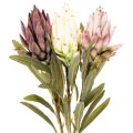 Protea Kunstblumen
