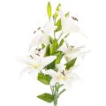 Floristik24 Lilien Kunstblume aus Kunststoff mit 6 weißen Blüten, Höhe 66 cm