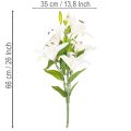 Lilien Kunstblume aus Kunststoff mit 6 weißen Blüten, Höhe 66 cm | Floristik24.at