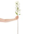 Künstlicher Lilienzweig Weiß 80cm Kunststoff/Textil Dekoration | Floristik24.at