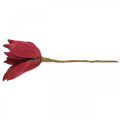 Floristik24 Künstliche Magnolie Rot Kunstblume Foam Blumendeko Ø10cm 6St
