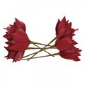 Floristik24 Künstliche Magnolie Rot Kunstblume Foam Blumendeko Ø10cm 6St