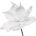 Floristik24 Künstliche Magnolie Weiß Kunstblume am Stiel Ø10cm Foam 6St
