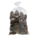 Maritima Zapfen 14/18 natur 25St | Floristik24.at