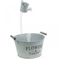 Floristik24 Pflanzschale mit Gießkanne, Gartendeko, Metallgefäß zum Bepflanzen Silbern Weiß gewaschen H41cm Ø28cm/Ø7cm