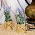 Floristik24 Mini-Lavendel im Topf Kunstpflanzen Künstlicher Lavendel Deko
