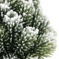 Floristik24 Mini Weihnachtsbaum im Topf Künstlich Beschneit Ø14cm H24cm