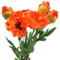 Floristik24 Mohn Orange 60cm 3St