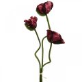 Künstliche Mohnblume, Kunstpflanze, Klatschrose Rot-Schwarz L55/60/70cm