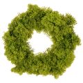 Floristik24 Mooskranz künstlich grün 28 cm für Tür und Tischdekoration