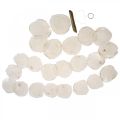 Muschel Girlande Perlmutt Muschelgirlande Capiz 195cm | Floristik24.at