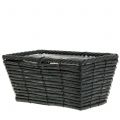 Floristik24 Pflanzkasten Rattan-Optik Anthrazit 26cm x 14,5cm H12cm