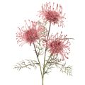 Floristik24 Kunstblume Protea Nadelkissen Blütenzweig Rosa-Grün 65cm 3er-Set