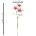 Kunstblume Protea Nadelkissen Blütenzweig Rosa-Grün 65cm 3er-Set | Floristik24.at