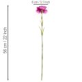 Nelke Kunstblume zweifarbig 56 cm Bund mit 8 Stielen aus Kunststoff | Floristik24.at