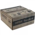 Floristik24 OASIS® TerraBrick™ Steckmasse kompostierbar 8St