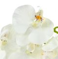 Floristik24 Orchidee Weiß künstlich L73cm 4St