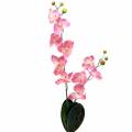 Floristik24 Orchidee Phalaenopsis künstlich Rosa 60cm