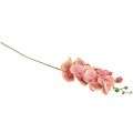 Floristik24 Orchidee Phalaenopsis künstlich 9 Blüten Pink Vanille 96cm