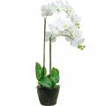 Floristik24 Künstliche Orchideen für den Topf Weiß 80cm