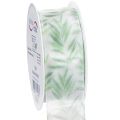 Floristik24 Organzaband Chiffonband mit Pflanzenmotiv 40mm x 15m Weiß-Grün