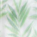 Organzaband Chiffonband mit Pflanzenmotiv 40mm x 15m Weiß-Grün | Floristik24.at